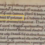 Fragment średniowiecznego manuskryptu "Gesta Hammaburgensis ecclesiae pontificum" Adama z Bremy, zawierający łacińskie określenie "trans Oddaram sive Polanos".