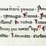 Fragment średniowiecznego rękopisu Liber Census Daniae z łacińskimi nazwami plemion i krain bałtyckich, w tym pruskich.